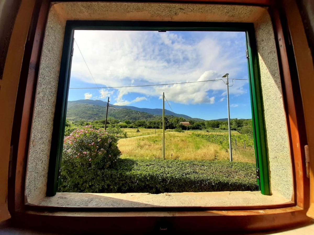 Villa Very II マリーナ・ディ・カンポ エクステリア 写真