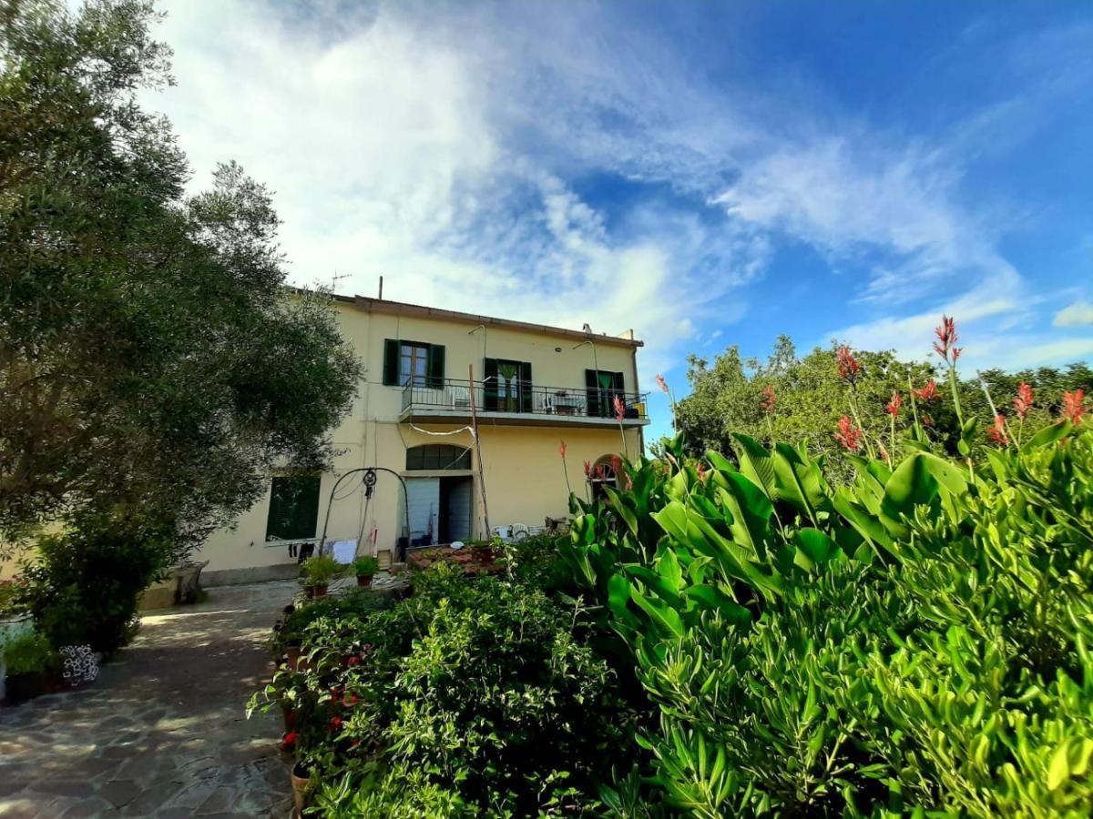 Villa Very II マリーナ・ディ・カンポ 部屋 写真